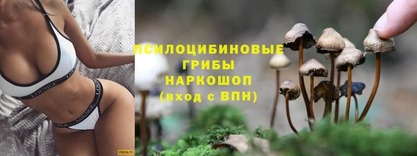 тгк Белокуриха