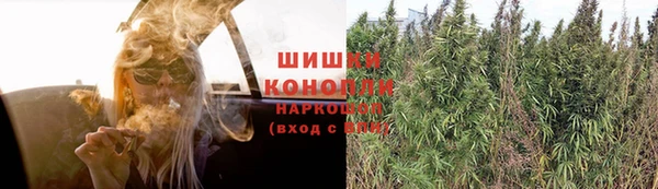 молекула духа Беломорск