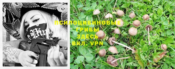 тгк Белокуриха